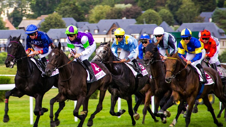 Melbourne Cup Sweep